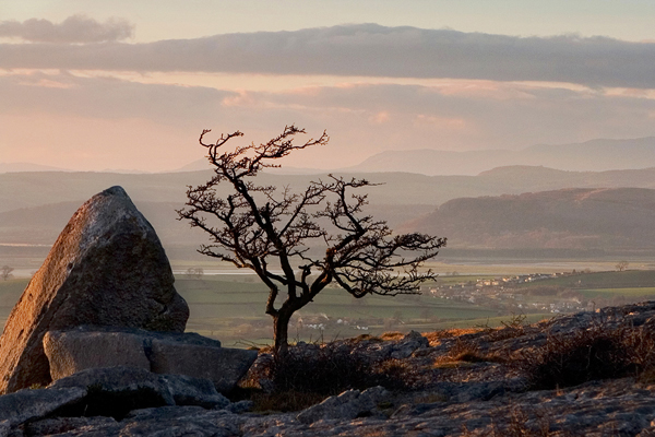 Distant Arnside