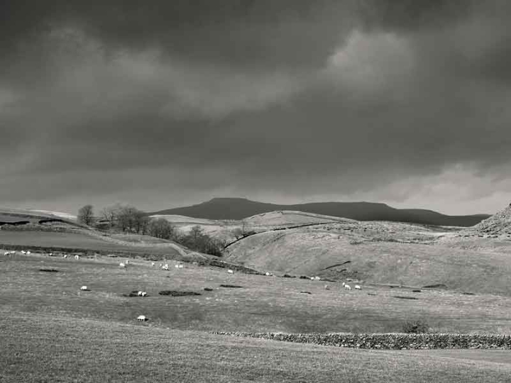 Holden Moor looking to Pen-y-ghent