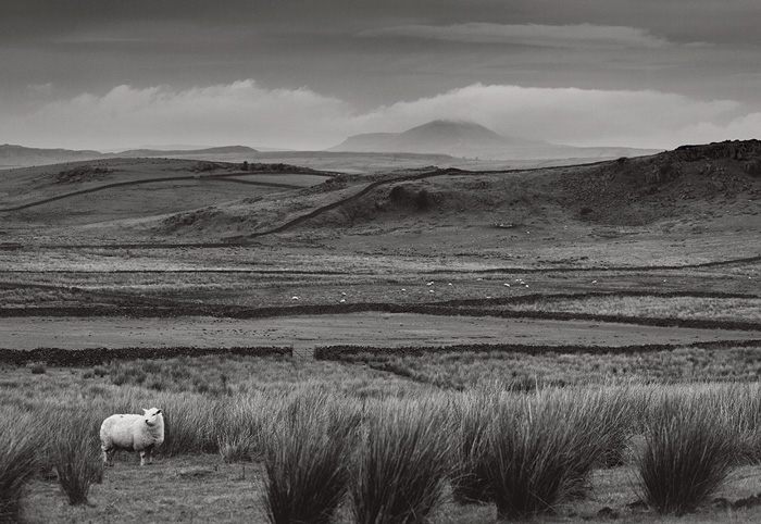 Pen-Y-Ghent from Keasden