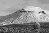 CRW_6156-3.jpg