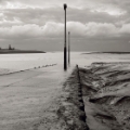 DSC01975-12x12.jpg