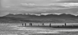DSC06119.jpg