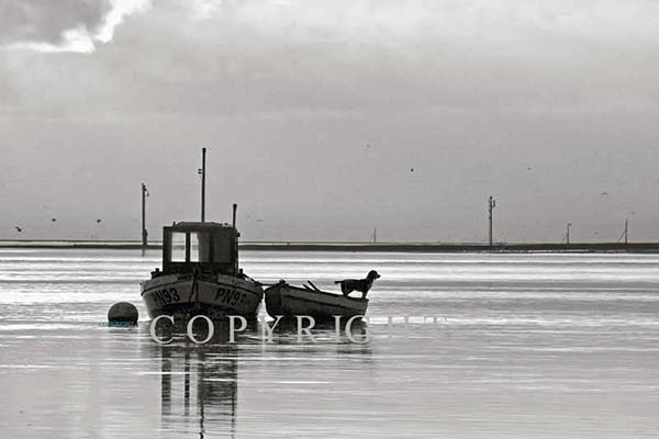 Fishermans Dog , Lytham Ref 3521 Mon