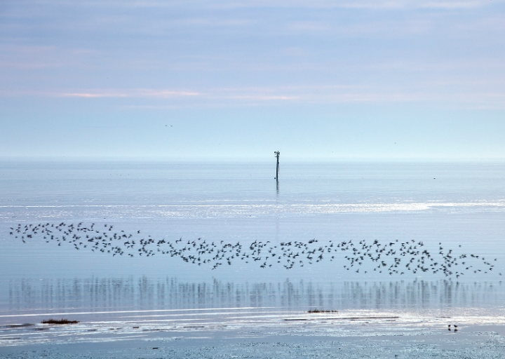 Lythm Estuary, Winter -  Ref 8402