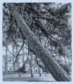 DSC05997.jpg