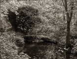 DSC06823.jpg