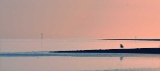 IMG_8947-2.1-pan.jpg