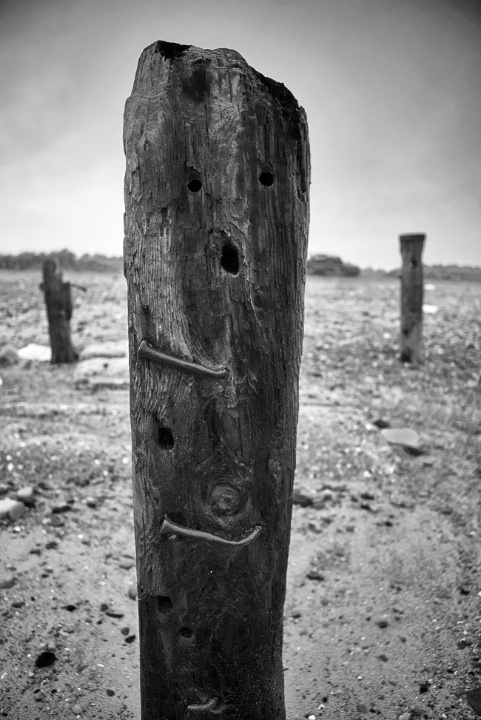 View from a Groyne, Spurn Head
