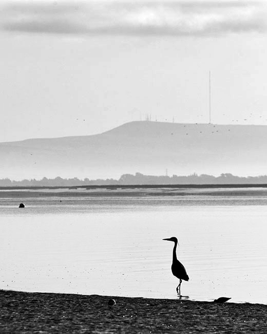 Eyeing A Catch, Lytham