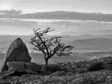 CRW_5621bw.jpg