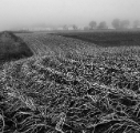 CRW_7676.jpg