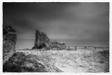 DSC01225-mon2.jpg