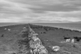 DSC01404.jpg