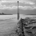 DSC01975-12x12.jpg