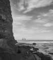 DSC05484.jpg