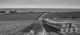 DSC05628.jpg
