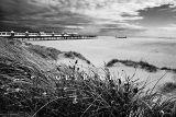 IMG_0435-2.jpg