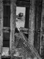_DSC3314-10x12.jpg