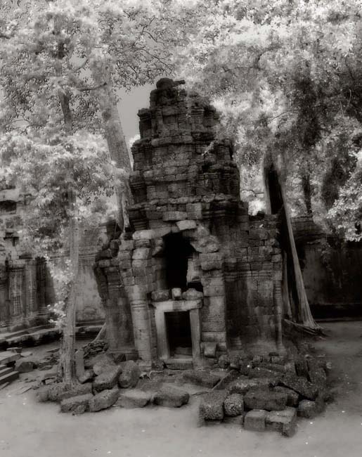 Ta Prohm, Cambodia