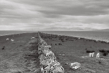 DSC01404.jpg