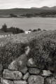 DSC05652.jpg