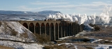 IMG_6987pan.jpg