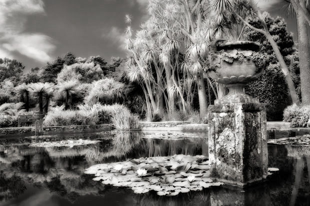 Logan Botanical Gardens, Galloway