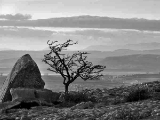 CRW_5621bw.jpg