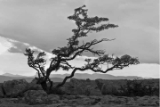 CRW_8274.jpg