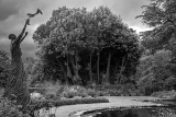Trees  and  Gardens