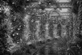 DSC04234.jpg