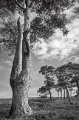 DSC05906.jpg