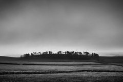 Gaughey Hill, Slaidburn