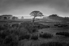 Greenside Hill, from Marshaw