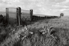Kissing Gate, Duchy Of Lanaster Estate, Whitewell - Ref: 2434