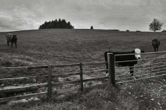 Bulls Eye, Northern Bowland - Ref: 4417