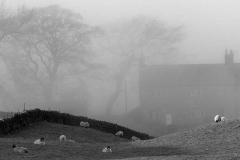 On The Slopes Of Pendle Hill